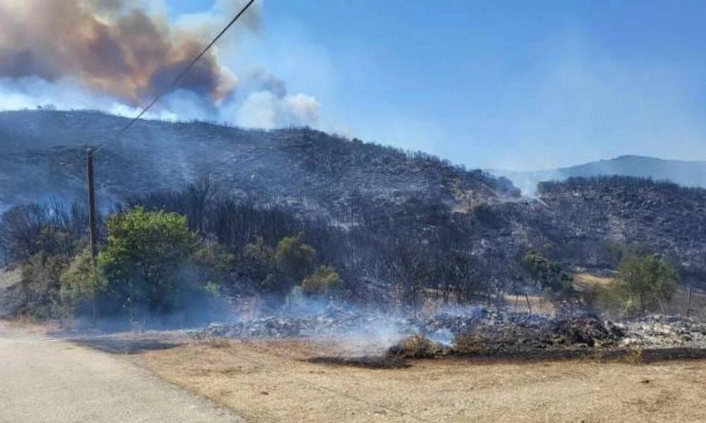 Φωτιά στην Αχαΐα: Πάνω από 30.000 στρέμματα κάηκαν σε περίπου 12 ώρες